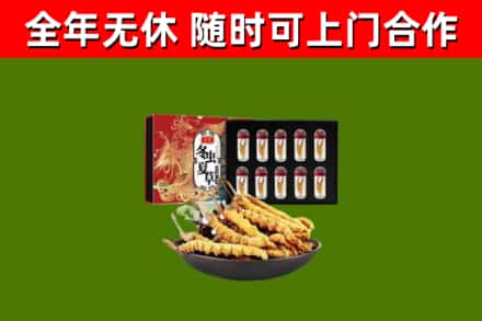 太和回收冬虫夏草价格
